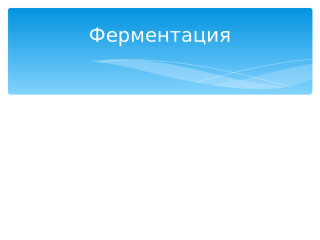 Ферментация 