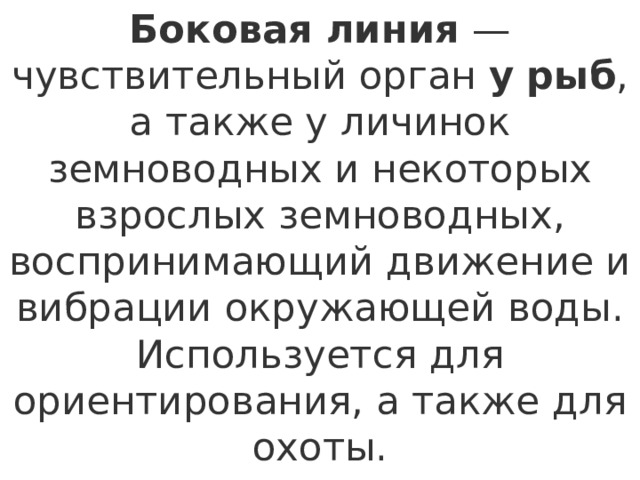 Боковая   линия  — чувствительный орган  у   рыб , а также у личинок земноводных и некоторых взрослых земноводных, воспринимающий движение и вибрации окружающей воды. Используется для ориентирования, а также для охоты. 