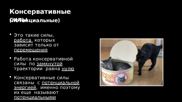 Консервативные  силы (потенциальные) Это такие силы, работа  которых  зависит  только  от  перемещения Работа  консервативной  силы  по замкнутой  траектории  равна  нулю Консервативные  силы  связаны  с потенциальной энергией ,  именно поэтому их еще  называют  потенциальными 
