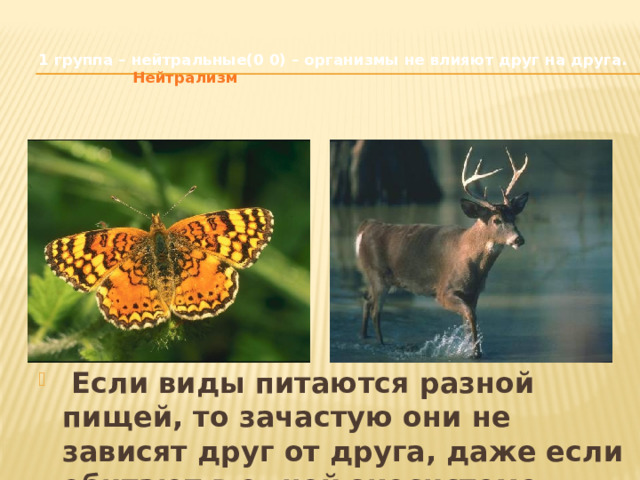 1 группа – нейтральные(0 0) – организмы не влияют друг на друга.   Нейтрализм  Если виды питаются разной пищей, то зачастую они не зависят друг от друга, даже если обитают в одной экосистеме. 