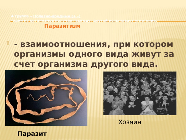 4 группа – Полезно-вредные (+ -)  -один из организмов получает выгоду, другой испытывает угнетение.    Паразитизм - взаимоотношения, при котором организмы одного вида живут за счет организма другого вида. Хозяин Паразит 