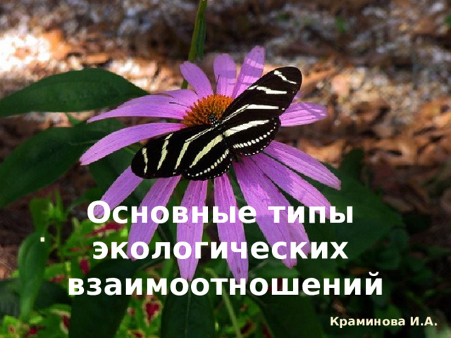 Основные типы экологических взаимоотношений .   Краминова И.А. 
