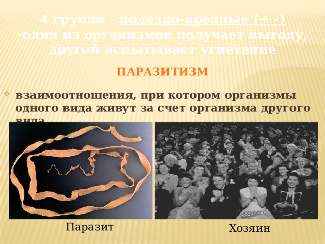 4 группа – полезно-вредные (+ -)  -один из организмов получает выгоду, другой испытывает угнетение ПАРАЗИТИЗМ взаимоотношения, при котором организмы одного вида живут за счет организма другого вида. Паразит Хозяин 