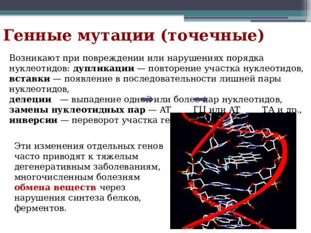 Генные мутации (точечные) Возникают при повреждении или нарушениях порядка нуклеотидов: дупликации  — повторение участка нуклеотидов, вставки  — появление в последовательности лишней пары нуклеотидов, делеции   — выпадение одной или более пар нуклеотидов, замены нуклеотидных пар  — AT  ГЦ или AT    ТА и др., инверсии  — переворот участка гена на 180°. Эти изменения отдельных генов часто приводят к тяжелым дегенеративным заболеваниям, многочисленным болезням обмена веществ через нарушения синтеза белков, ферментов. 