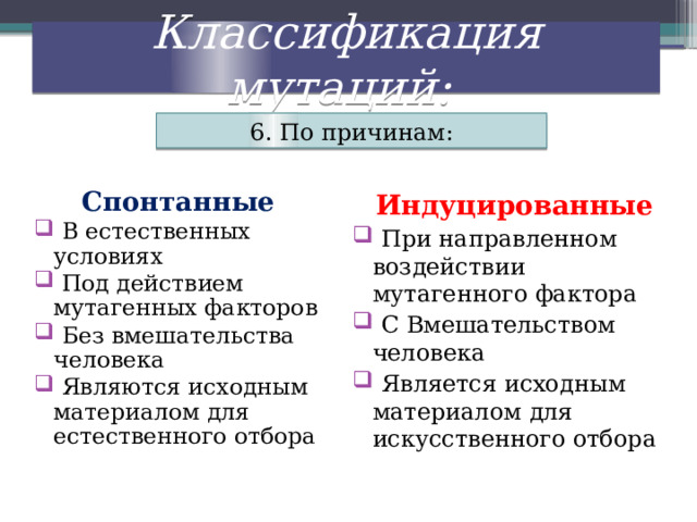Классификация мутаций: 6. По причинам: Спонтанные Индуцированные  В естественных условиях  Под действием мутагенных факторов  Без вмешательства человека  Являются исходным материалом для естественного отбора  При направленном воздействии мутагенного фактора  С Вмешательством человека  Является исходным материалом для искусственного отбора 