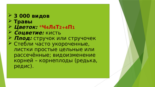 3 000 видов Травы Цветок:  * Ч 4 Л 4 Т 2+4 П 1 Соцветие: кисть Плод: стручок или стручочек Стебли часто укороченные, листки простые цельные или рассечённые; видоизменение корней – корнеплоды (редька, редис). 