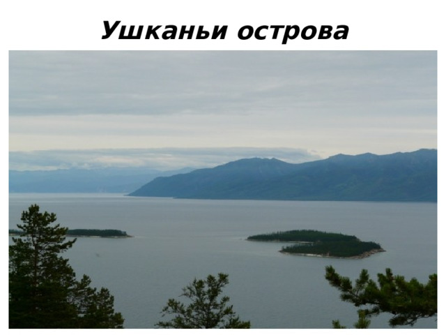 Ушканьи острова 