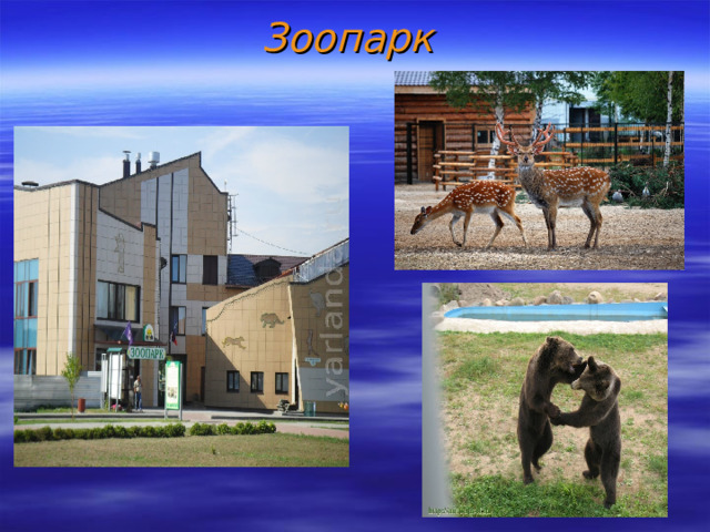 Зоопарк 