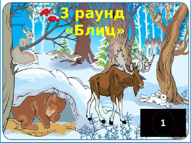 3 раунд  «Блиц» 