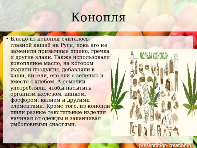 Конопля Блюдо из конопли считалось главной кашей на Руси, пока его не заменили привычные пшено, гречка и другие злаки. Также использовали конопляное масло, на котором жарили продукты, добавляли в каши, кисели, его ели с зеленью и вместе с хлебом. А семечки употребляли, чтобы насытить организм железом, цинком, фосфором, калием и другими элементами. Кроме того, из конопли шили разные текстильные изделия начиная от одежды и заканчивая рыболовными снастями.   