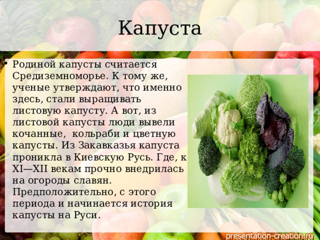 Капуста Родиной капусты считается Средиземноморье. К тому же, ученые утверждают, что именно здесь, стали выращивать листовую капусту. А вот, из листовой капусты люди вывели кочанные, кольраби и цветную капусты. Из Закавказья капуста проникла в Киевскую Русь. Где, к XI—XII векам прочно внедрилась на огороды славян. Предположительно, с этого периода и начинается история капусты на Руси. 