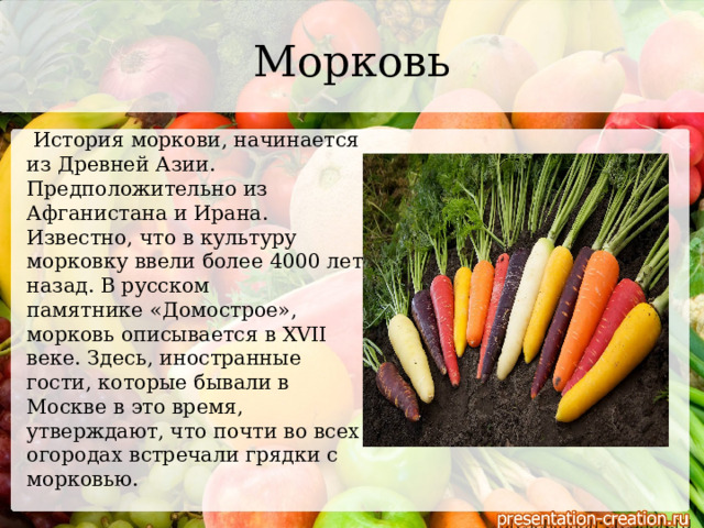 Морковь  История моркови, начинается из Древней Азии. Предположительно из Афганистана и Ирана. Известно, что в культуру морковку ввели более 4000 лет назад. В русском памятнике «Домострое», морковь описывается в XVII веке. Здесь, иностранные гости, которые бывали в Москве в это время, утверждают, что почти во всех огородах встречали грядки с морковью. 