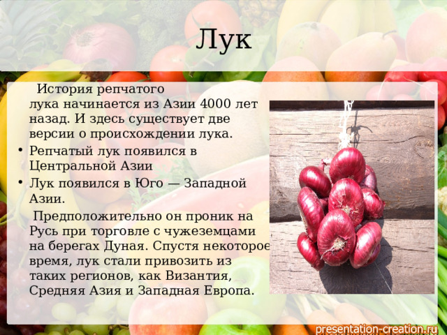 Лук  История репчатого лука начинается из Азии 4000 лет назад. И здесь существует две версии о происхождении лука. Репчатый лук появился в Центральной Азии Лук появился в Юго — Западной Азии.  Предположительно он проник на Русь при торговле с чужеземцами на берегах Дуная. Спустя некоторое время, лук стали привозить из таких регионов, как Византия, Средняя Азия и Западная Европа. 