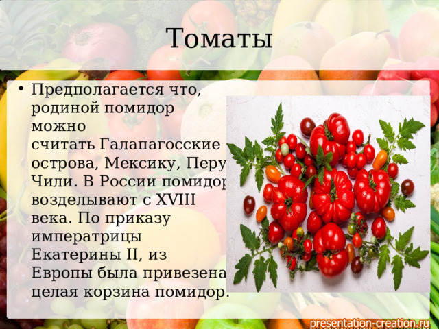 Томаты Предполагается что, родиной помидор можно считать Галапагосские острова, Мексику, Перу, Чили. В России помидор возделывают с XVIII века. По приказу императрицы Екатерины ІІ, из Европы была привезена целая корзина помидор . 