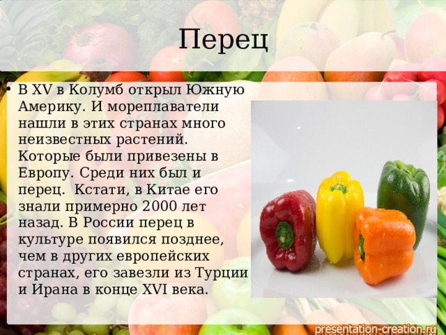 Перец В XV в Колумб открыл Южную Америку. И мореплаватели нашли в этих странах много неизвестных растений. Которые были привезены в Европу. Среди них был и перец.  Кстати, в Китае его знали примерно 2000 лет назад. В России перец в культуре появился позднее, чем в других европейских странах, его завезли из Турции и Ирана в конце ХVI века. 