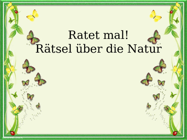 Ratet mal! Rätsel über die Natur 