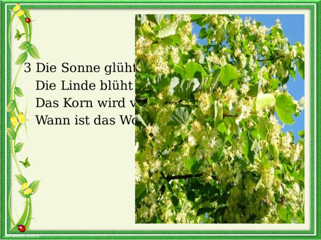 3 Die Sonne glüht.  Die Linde blüht  Das Korn wird voll  Wann ist das Wohl? 