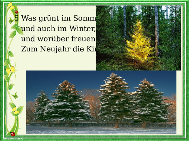  5 Was grünt im Sommer  und auch im Winter,  und worüber freuen sich  Zum Neujahr die Kinder? 