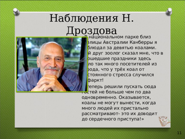 Наблюдения Н. Дроздова «В национальном парке близ столицы Австралии Канберры я наблюдал за девятью коалами. Мой друг зоолог сказал мне, что в прошедшие праздники здесь было так много посетителей из города, что у трёх коал от постоянного стресса случился инфаркт! И теперь решили пускать сюда гостей не больше чем по два одновременно. Оказывается, коалы не могут вынести, когда много людей их пристально рассматривают- это их доводит до сердечного приступа!»  