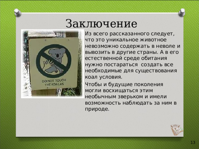 Заключение Из всего рассказанного следует, что это уникальное животное невозможно содержать в неволе и вывозить в другие страны. А в его естественной среде обитания нужно постараться создать все необходимые для существования коал условия. Чтобы и будущие поколения могли восхищаться этим необычным зверьком и имели возможность наблюдать за ним в природе.  