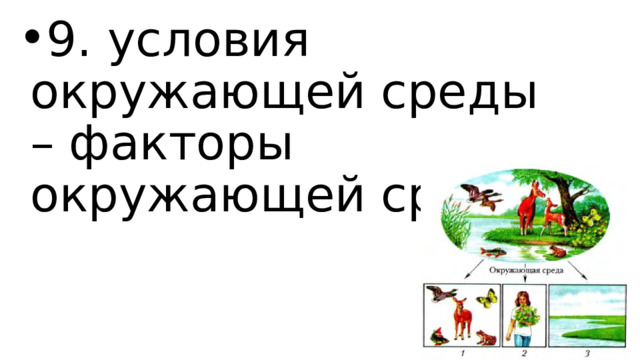 9. условия окружающей среды – факторы окружающей среды 
