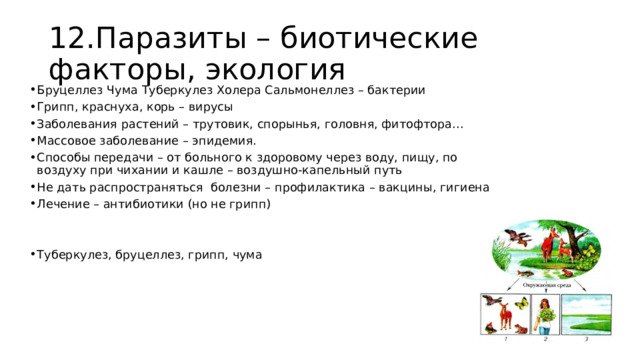 12.Паразиты – биотические факторы, экология Бруцеллез Чума Туберкулез Холера Сальмонеллез – бактерии Грипп, краснуха, корь – вирусы Заболевания растений – трутовик, спорынья, головня, фитофтора… Массовое заболевание – эпидемия. Способы передачи – от больного к здоровому через воду, пищу, по воздуху при чихании и кашле – воздушно-капельный путь Не дать распространяться болезни – профилактика – вакцины, гигиена Лечение – антибиотики (но не грипп) Туберкулез, бруцеллез, грипп, чума 