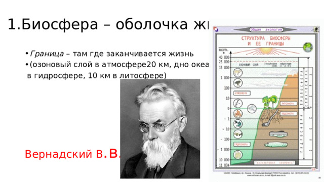 1.Биосфера – оболочка жизни Граница – там где заканчивается жизнь (озоновый слой в атмосфере20 км, дно океана  в гидросфере, 10 км в литосфере) Вернадский В .в. 