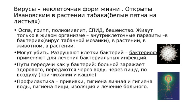 Вирусы – неклеточная форм жизни . Открыты Ивановским в растении табака(белые пятна на листьях)  Оспа, грипп, полиомиелит, СПИД, бешенство. Живут только в живом организме – внутриклеточные паразиты –в бактериях(вирус табачной мозаики), в растении, в животном, в растении. Могут убить. Разрушают клетки бактерий – бактериофаги - применяют для лечения бактериальных инфекций. Пути передачи как у бактерий: больной заражает здорового, передаются через воду, через пищу, по воздуху (при чихании и кашле) Профилактика – прививки, гигиена личная и гигиена воды, гигиена пищи, изоляция и лечение больного. 