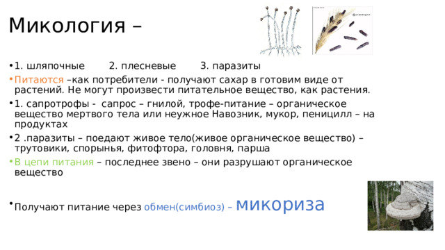 Микология – 1. шляпочные 2. плесневые 3. паразиты Питаются –как потребители - получают сахар в готовим виде от растений. Не могут произвести питательное вещество, как растения. 1. сапротрофы - сапрос – гнилой, трофе-питание – органическое вещество мертвого тела или неужное Навозник, мукор, пеницилл – на продуктах 2 .паразиты – поедают живое тело(живое органическое вещество) – трутовики, спорынья, фитофтора, головня, парша В цепи питания – последнее звено – они разрушают органическое вещество Получают питание через обмен(симбиоз) – микориза  