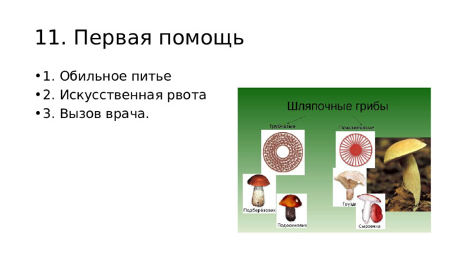 11. Первая помощь 1. Обильное питье 2. Искусственная рвота 3. Вызов врача. 13 14 