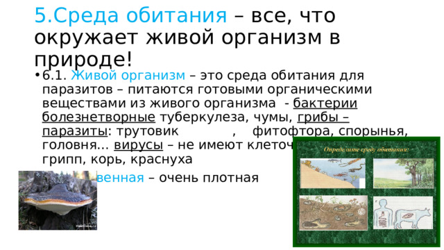 5.Среда обитания – все, что окружает живой организм в природе! 6.1. Живой организм – это среда обитания для паразитов – питаются готовыми органическими веществами из живого организма - бактерии болезнетворные туберкулеза, чумы, грибы – паразиты : трутовик , фитофтора, спорынья, головня… вирусы – не имеют клеточного строения: грипп, корь, краснуха 6.2 . Почвенная – очень плотная 