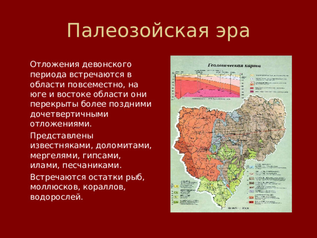  Отложения девонского периода встречаются в области повсеместно, на юге и востоке области они перекрыты более поздними дочетвертичными отложениями.  Представлены известняками, доломитами, мергелями, гипсами, илами, песчаниками.  Встречаются остатки рыб, моллюсков, кораллов, водорослей. 
