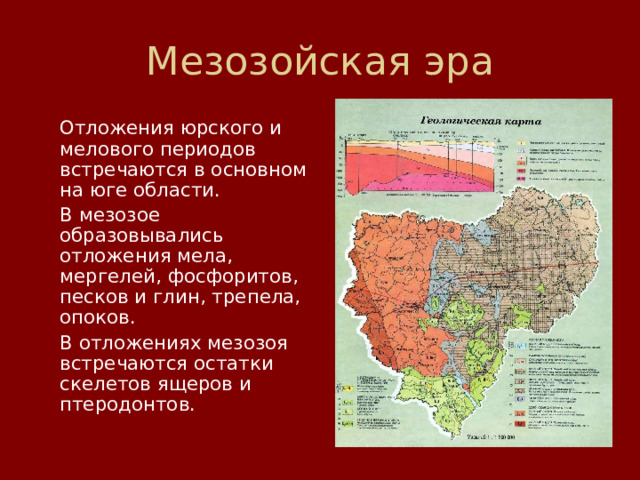 Отложения юрского и мелового периодов встречаются в основном на юге области.  В мезозое образовывались отложения мела, мергелей, фосфоритов, песков и глин, трепела, опоков.  В отложениях мезозоя встречаются остатки скелетов ящеров и птеродонтов. 