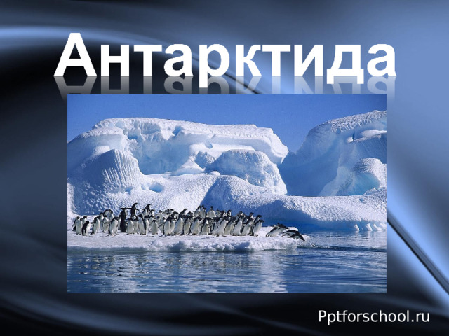 Антарктида “ Королева холоду