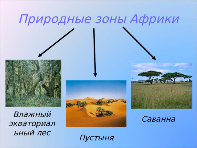 Природные зоны Африки Влажный экваториальный лес Саванна Пустыня 