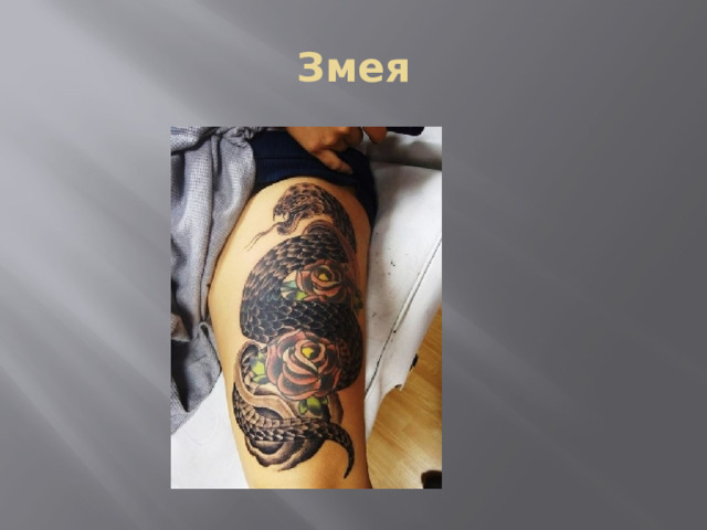 Змея 