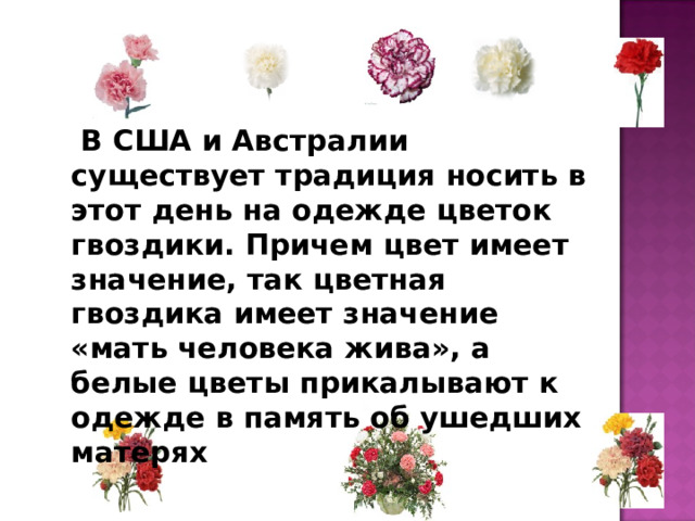  В США и Австралии существует традиция носить в этот день на одежде цветок гвоздики. Причем цвет имеет значение, так цветная гвоздика имеет значение «мать человека жива», а белые цветы прикалывают к одежде в память об ушедших матерях 