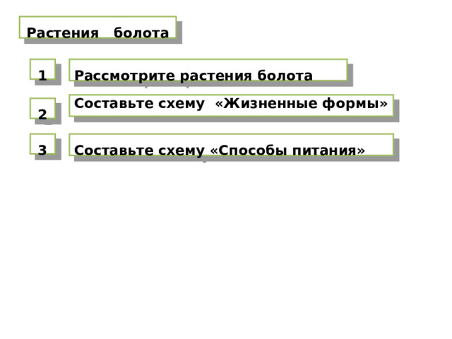  Растения болота  1  Рассмотрите растения болота Составьте схему «Жизненные формы»  2  3  Составьте схему «Способы питания» 