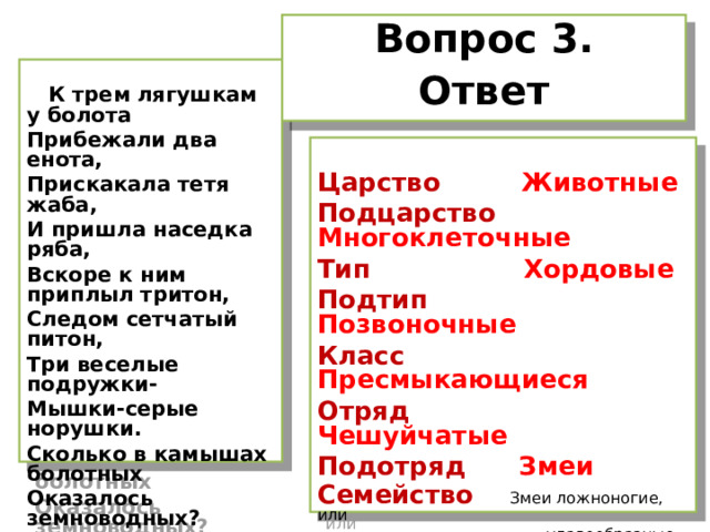 Вопрос 3. Ответ   К трем лягушкам у болота Прибежали два енота, Прискакала тетя жаба, И пришла наседка ряба, Вскоре к ним приплыл тритон, Следом сетчатый питон, Три веселые подружки- Мышки-серые норушки. Сколько в камышах болотных Оказалось земноводных?  Царство Животные Подцарство Многоклеточные Тип Хордовые Подтип Позвоночные Класс Пресмыкающиеся Отряд Чешуйчатые Подотряд Змеи Семейство Змеи ложноногие, или  удавообразные Род Питон Вид П.сетчатый     