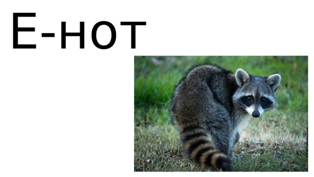 Е-нот 