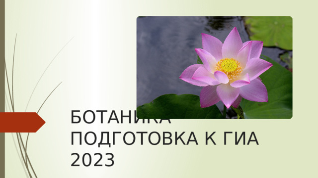   БОТАНИКА ПОДГОТОВКА К ГИА 2023 