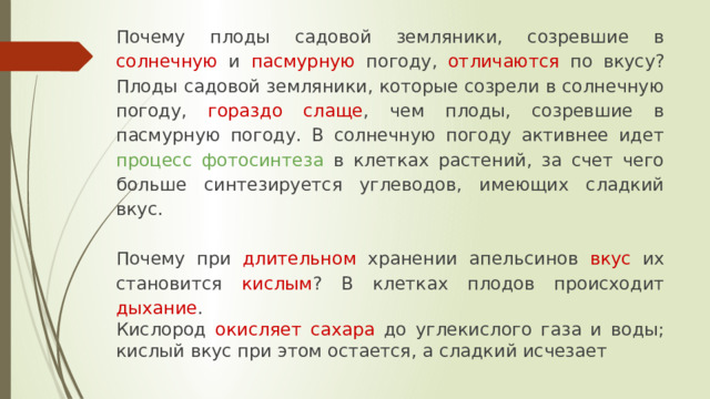 Почему плоды садовой земляники, созревшие в солнечную и пасмурную погоду, отличаются по вкусу? Плоды садовой земляники, которые созрели в солнечную погоду, гораздо слаще , чем плоды, созревшие в пасмурную погоду. В солнечную погоду активнее идет процесс фотосинтеза в клетках растений, за счет чего больше синтезируется углеводов, имеющих сладкий вкус. Почему при длительном хранении апельсинов вкус их становится кислым ? В клетках плодов происходит дыхание . Кислород окисляет сахара до углекислого газа и воды; кислый вкус при этом остается, а сладкий исчезает 