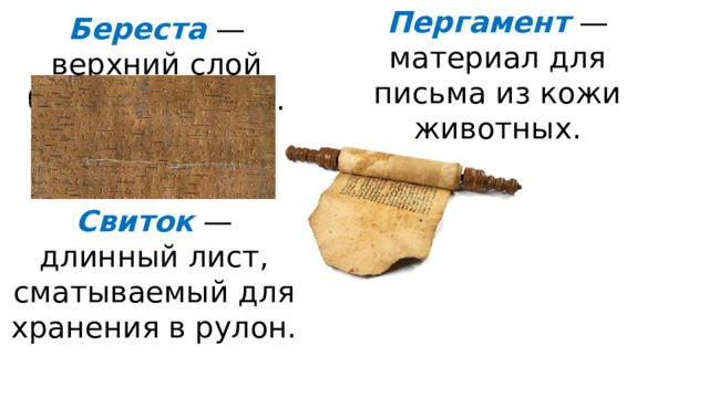 Пергамент —материал для письма из кожи животных. Береста — верхний слой березовой коры. Свиток — длинный лист, сматываемый для хранения в рулон. 