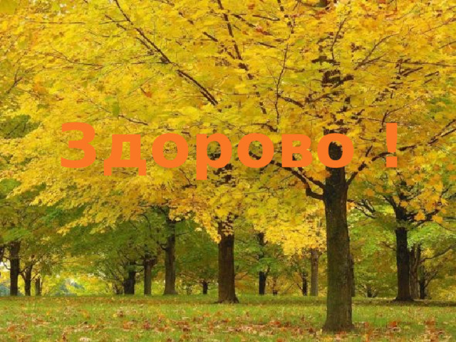 Здорово ! 