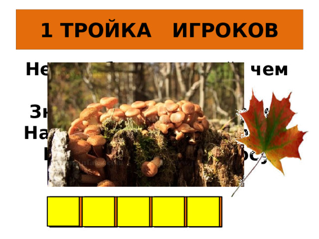 1 ТРОЙКА ИГРОКОВ Нет грибов дружней, чем эти, -  Знают взрослые и дети -  На пеньках растут в лесу,  Как веснушки на носу О П Я Т А 