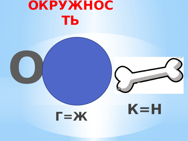 ОКРУЖНОСТЬ О К=Н Г=Ж 