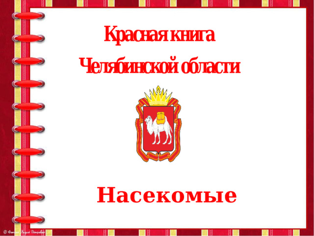 Насекомые 