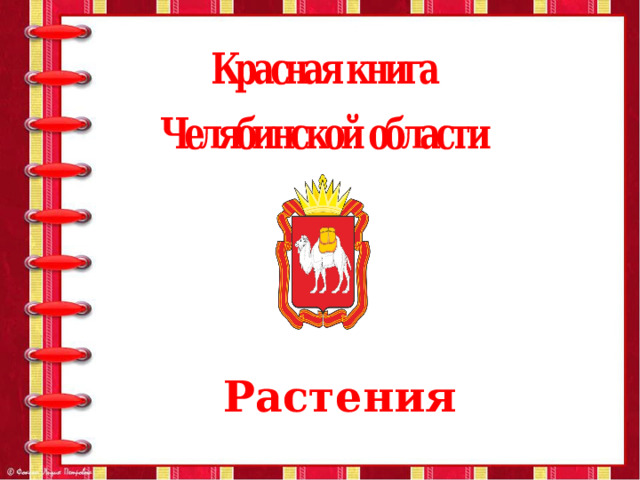 Растения 