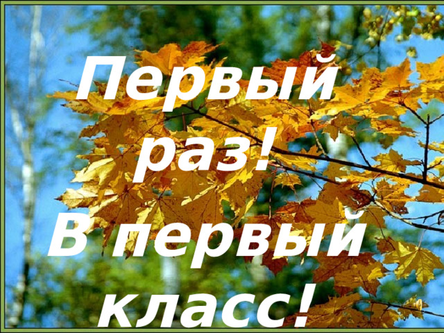 Первый раз! В первый класс!  
