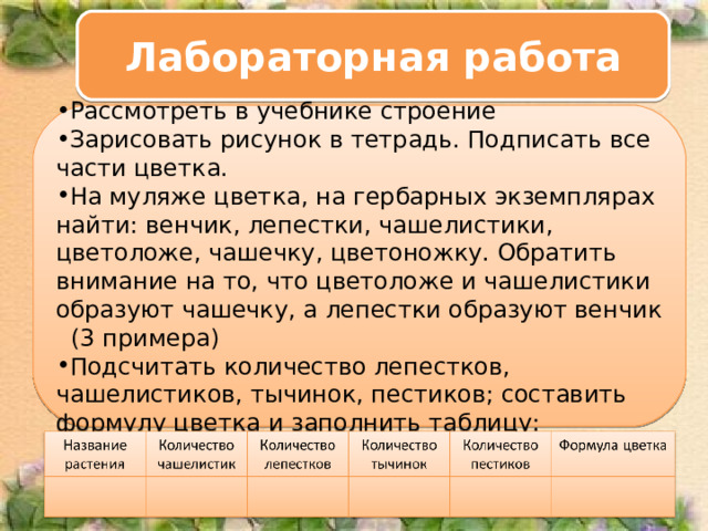Лабораторная работа  Ход работы: Рассмотреть в учебнике строение Зарисовать рисунок в тетрадь. Подписать все части цветка. На муляже цветка, на гербарных экземплярах найти: венчик, лепестки, чашелистики, цветоложе, чашечку, цветоножку. Обратить внимание на то, что цветоложе и чашелистики образуют чашечку, а лепестки образуют венчик (3 примера) Подсчитать количество лепестков, чашелистиков, тычинок, пестиков; составить формулу цветка и заполнить таблицу: 